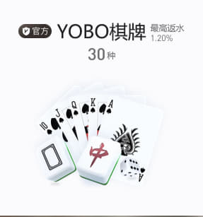 2025最強拍照手機推薦 榮耀500係列影像解析